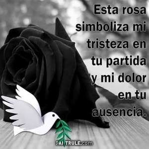 Meet your Posher, Alexander